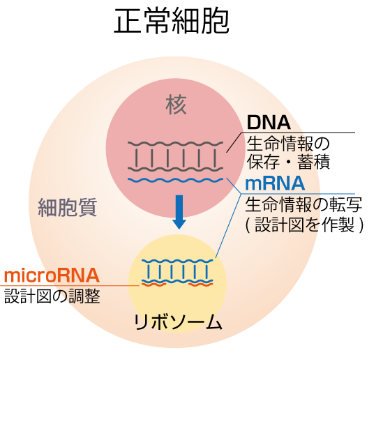 図3