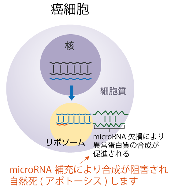 図4